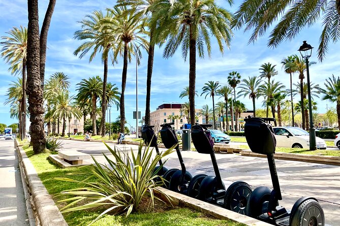 VIP Private Segway Tour of Palma - Parc de la Mar and the near-cathedral park mood