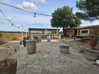 Visit Bodegas Bordoy, taste 5 wines, and enjoy finger food