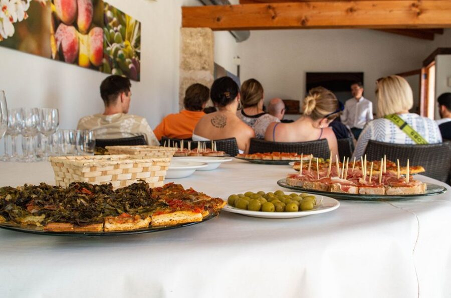 Visit of the olive grove, olive oil tasting and snack - Should you book Treurer EVOO’s olive grove tour?