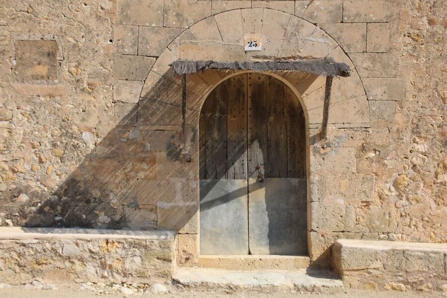 Visit of the olive grove, olive oil tasting and snack - Price and time: what you really get for $58