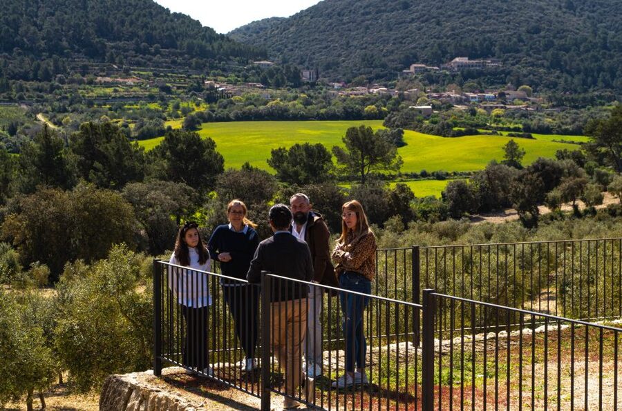 Visit of the olive grove, olive oil tasting and snack - Who this tour is best for