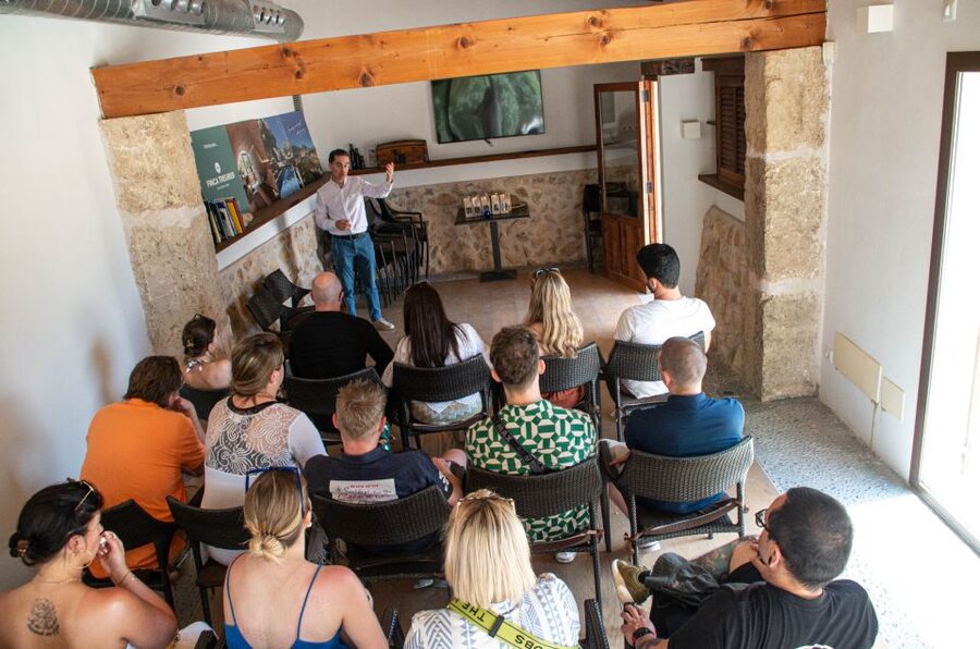 Visit of the olive grove, olive oil tasting and snack - What to bring, and how to get more from the experience