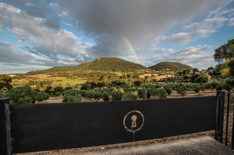 Visit of the olive grove, olive oil tasting and snack - Inside the mill: the steps that protect flavor and quality