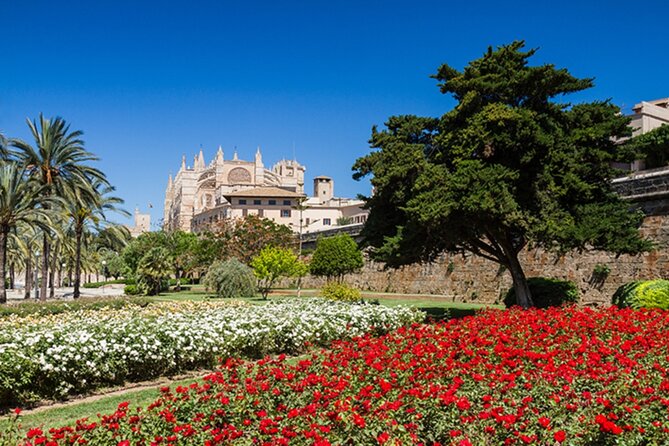 Visit Palma and Valldemossa - Key points before you go