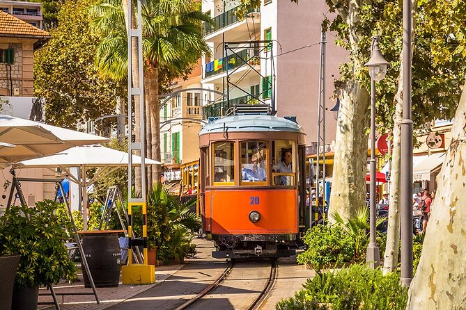 Visit to Sóller and Valldemossa - Price and Value: Is $60.25 Worth It?