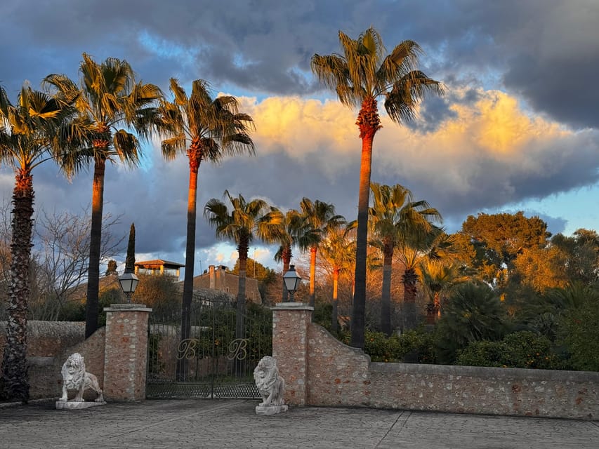 Weinsonntag auf Mallorca - Wine Sundays on Mallorca: what you are really paying for