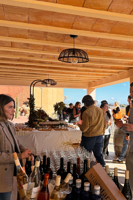 Weinsonntag auf Mallorca - The picnic on a country estate: sharing platters at your pace